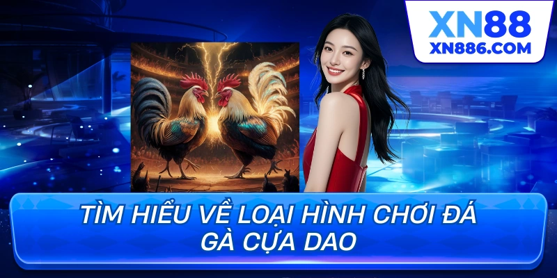 Tìm hiểu về loại hình chơi đá gà cựa dao